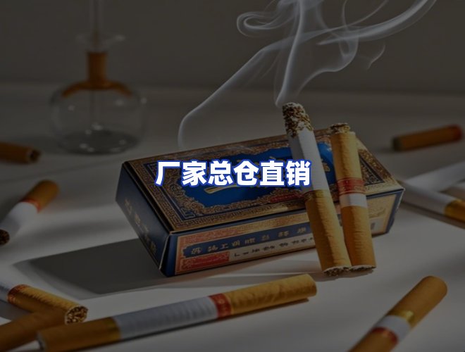 专业团队